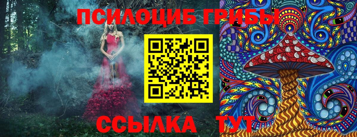 Галлюциногенные грибы мицелий  Псилоцибиновые грибы Psilocybine cubensis  Торжок  Вход с VPN 